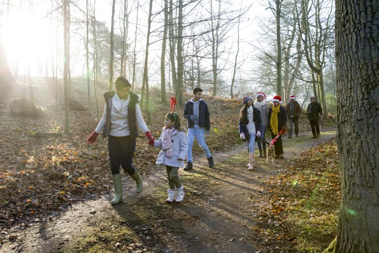 Family walking